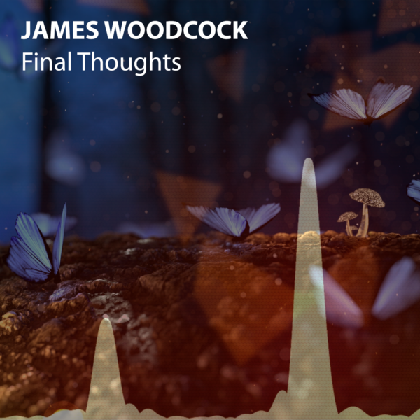 Final Thoughts